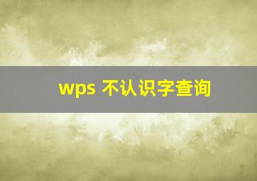 wps 不认识字查询